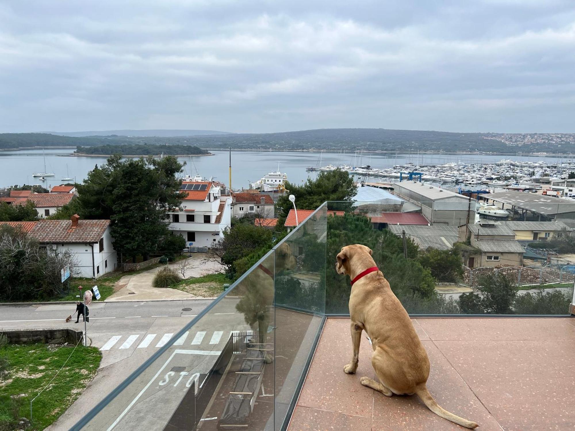 Panorama Penthouse 普纳特 外观 照片