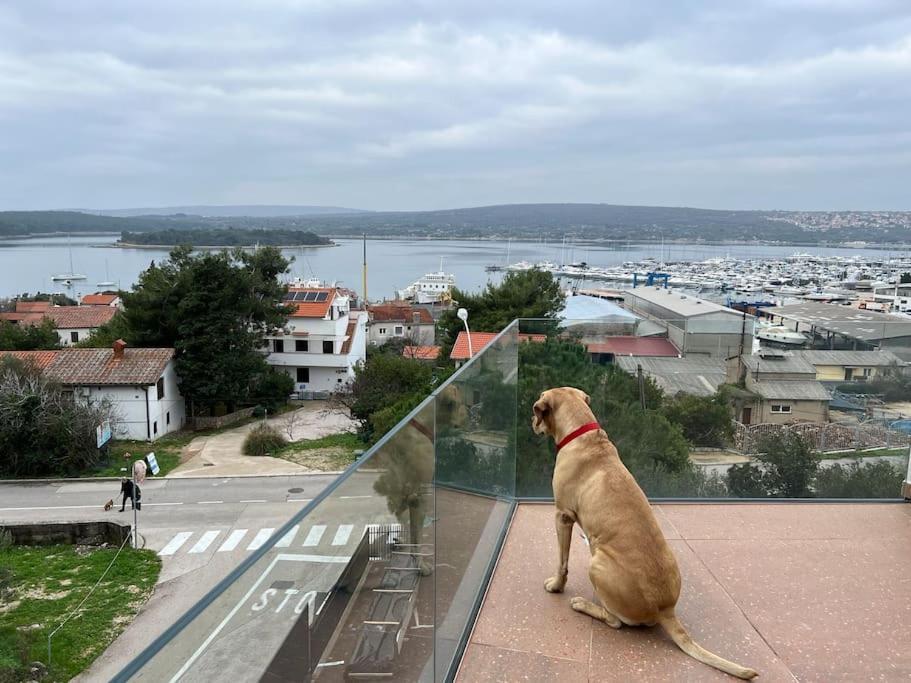 Panorama Penthouse 普纳特 外观 照片